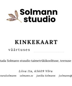 Alternative view of Kinkekaart – kingi loomisrõõmu ja elamusi