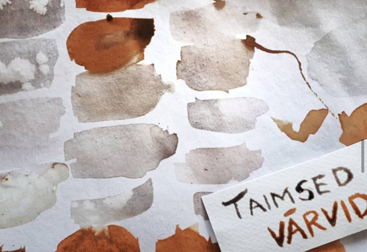 Peitsainetega trükkimine: töötuba Võrus 22.03.2026 - Image 3