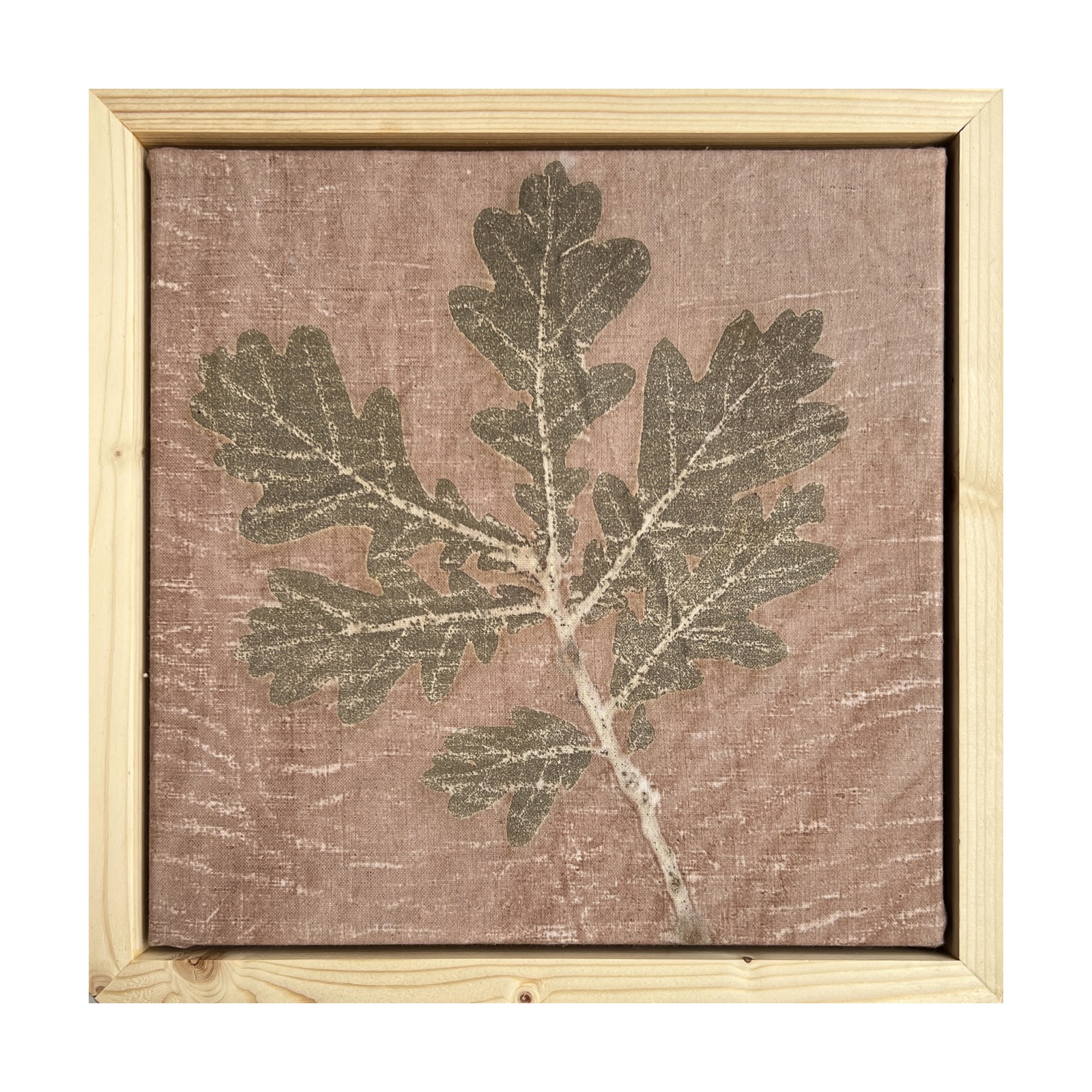 Harilik tamm, taimetrükk linasel, raamitud pilt 35×35 cm