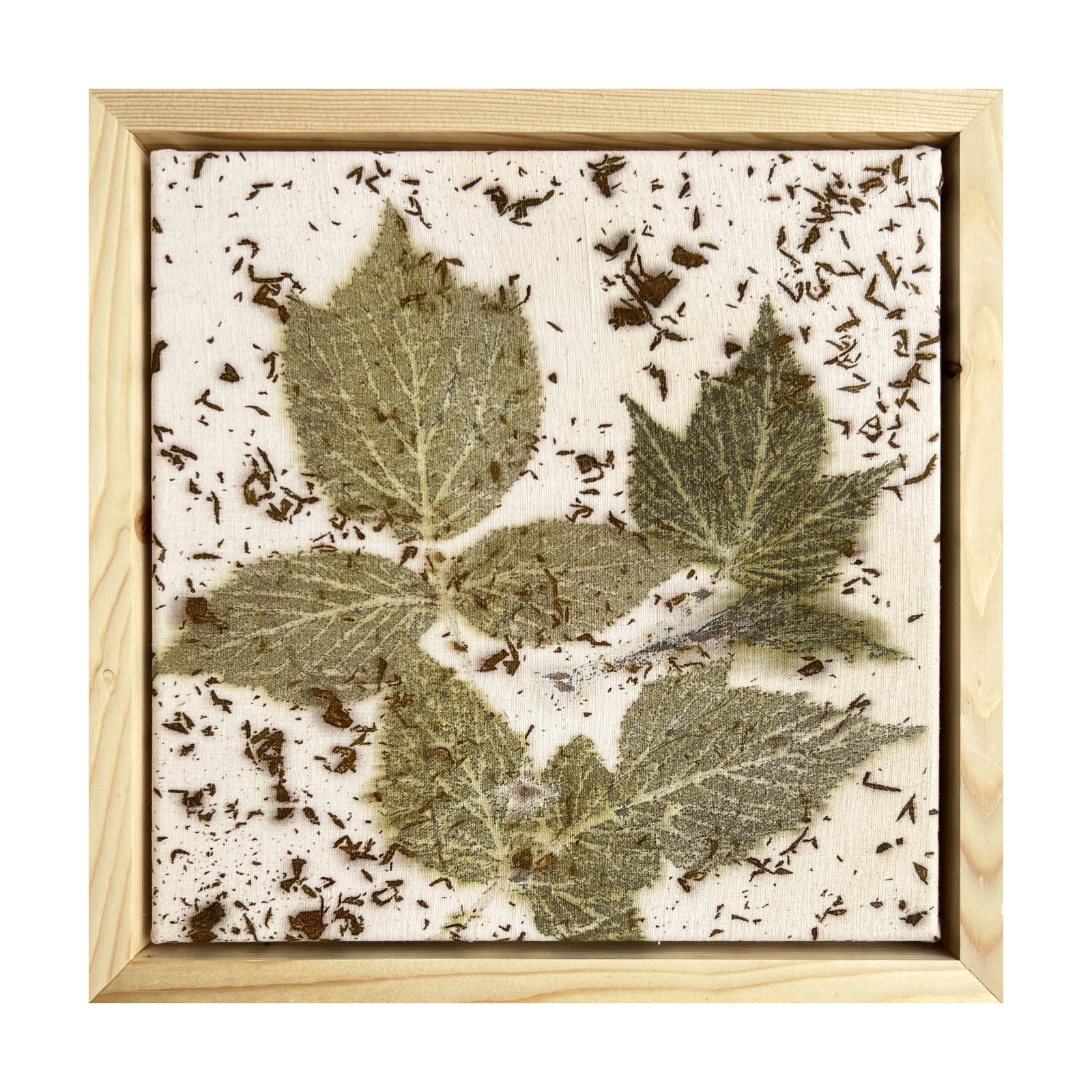 Harilik vaarikas, taimetrükk linasel, raamitud pilt 35×35 cm