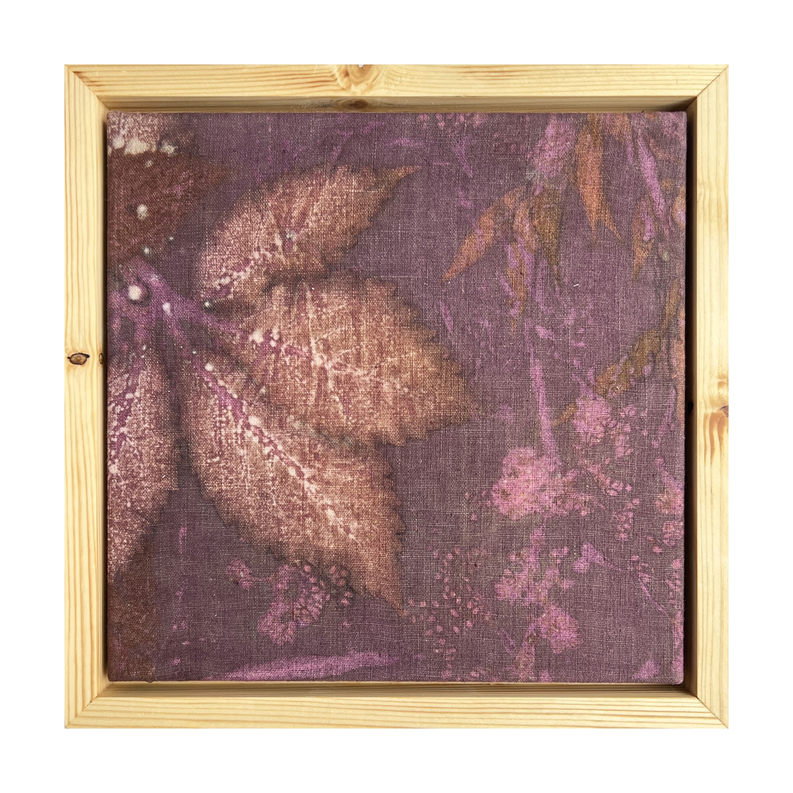 Hariliku metsviinapuu vari, taimetrükk linasel, raamitud pilt 35×35 cm