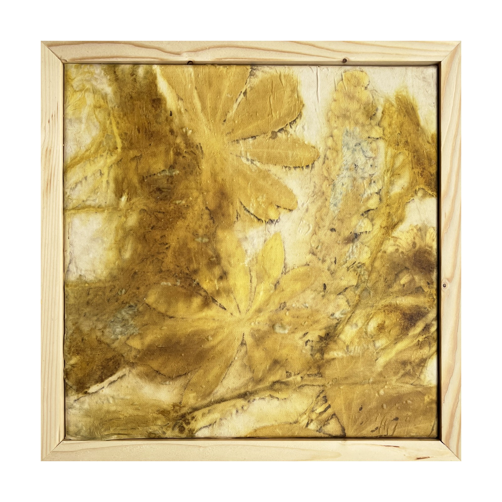 Lupiin, taimetrükk siidil, raamitud pilt 35×35 cm